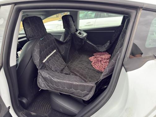 Pearl White Multi-Coat 2024 Tesla Model 3 Long Range