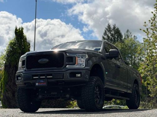 Magnetic 2018 Ford F-150 XL