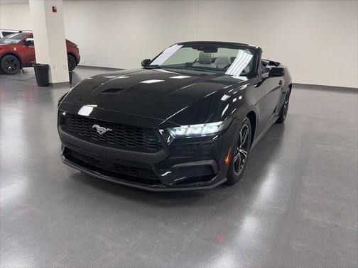 Shadow Black 2024 Ford Mustang EcoBoost Premium