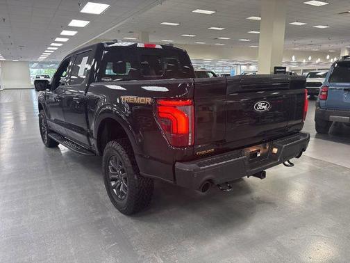 Agate Black Metallic 2025 Ford F-150 Tremor