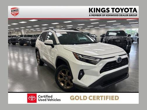 Ice 2023 Toyota RAV4 Hybrid Woodland Edition