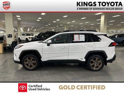 Ice 2023 Toyota RAV4 Hybrid Woodland Edition