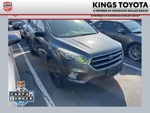 Magnetic 2017 Ford Escape SE