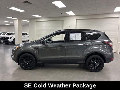 Magnetic 2017 Ford Escape SE