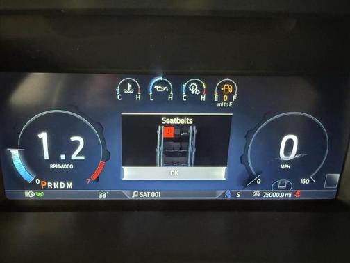 2024 Ford Expedition PLATINUM