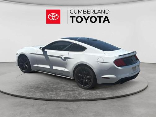 Oxford White 2019 Ford Mustang EcoBoost