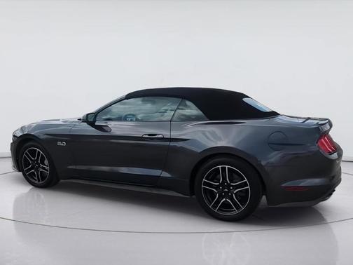 Magnetic 2019 Ford Mustang GT Premium