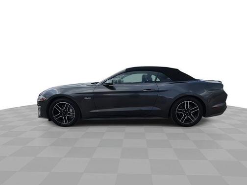 Magnetic 2019 Ford Mustang GT Premium