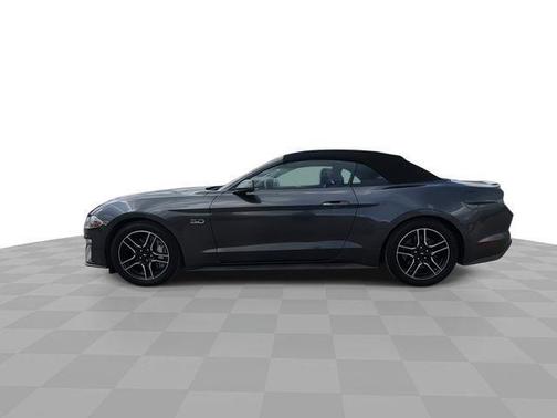 Magnetic 2019 Ford Mustang GT Premium
