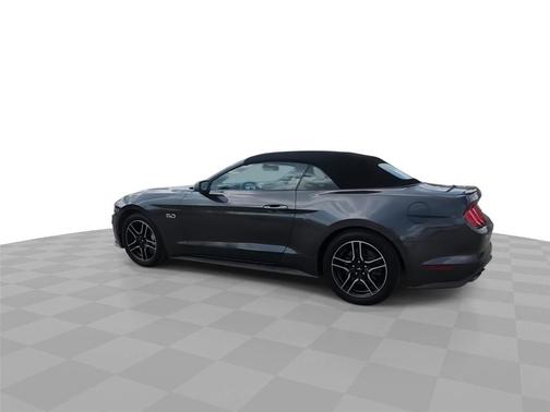 Magnetic 2019 Ford Mustang GT Premium