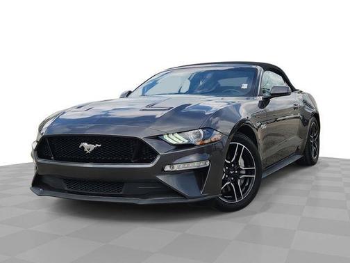 Magnetic 2019 Ford Mustang GT Premium