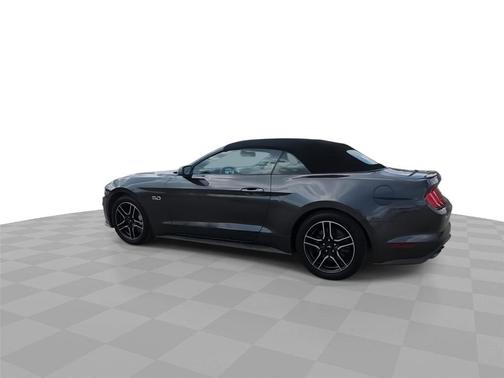 Magnetic 2019 Ford Mustang GT Premium