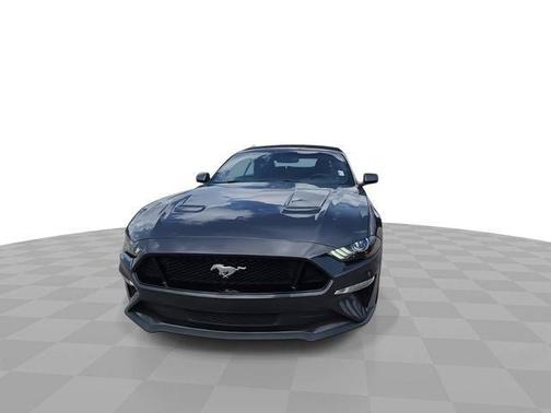 Magnetic 2019 Ford Mustang GT Premium