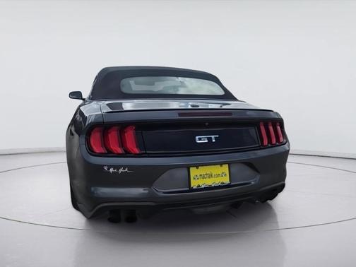 Magnetic 2019 Ford Mustang GT Premium