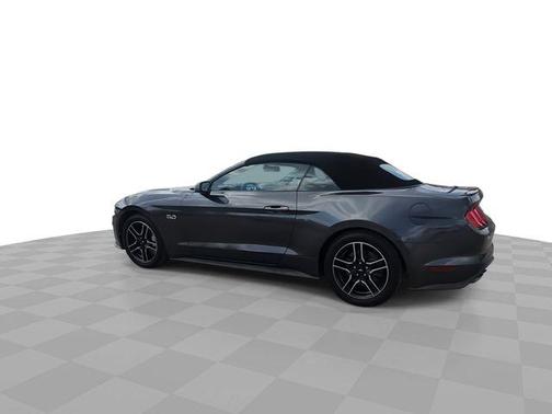 Magnetic 2019 Ford Mustang GT Premium