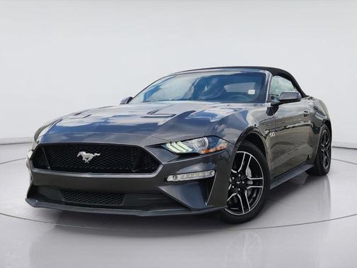 Magnetic 2019 Ford Mustang GT Premium