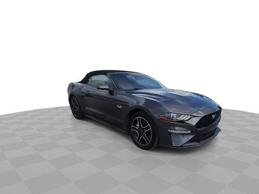 Magnetic 2019 Ford Mustang GT Premium