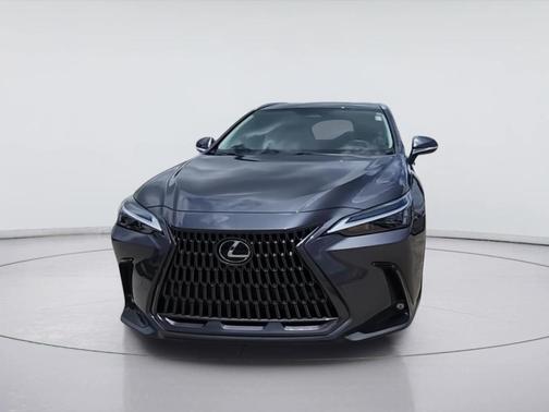 Cloudburst Gray 2024 Lexus NX 250 Premium