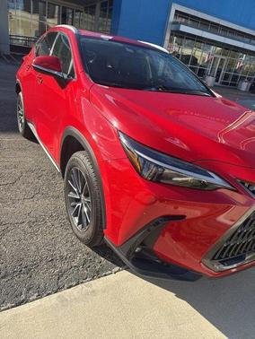 2024 Lexus NX 250 Premium
