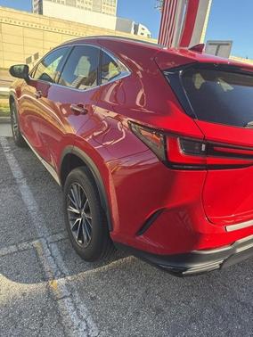 2024 Lexus NX 250 Premium