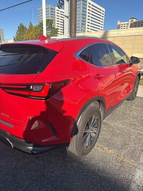 2024 Lexus NX 250 Premium