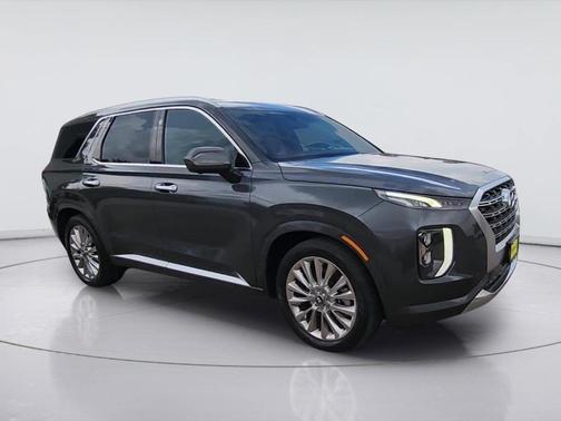 Rainforest 2020 Hyundai PALISADE Limited