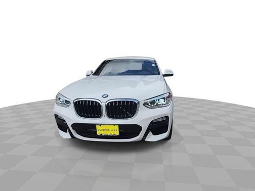 Alpine White 2019 BMW X4 xDrive30i