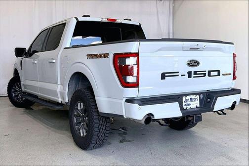 Avalanche 2023 Ford F-150 Tremor