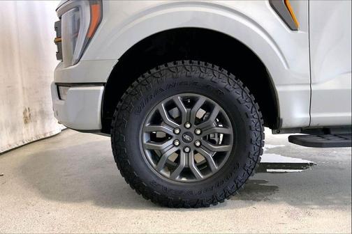 Avalanche 2023 Ford F-150 Tremor