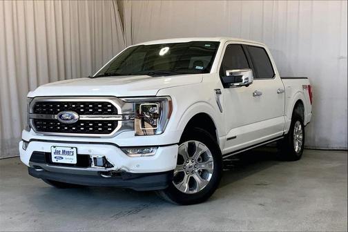2021 Ford F-150 Platinum