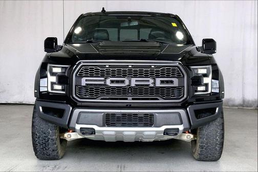 Agate Black Metallic 2019 Ford F-150 Raptor