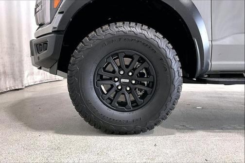 Avalanche 2024 Ford F-150 Raptor
