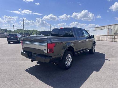 Magnetic Metallic 2020 Ford F-150 Platinum