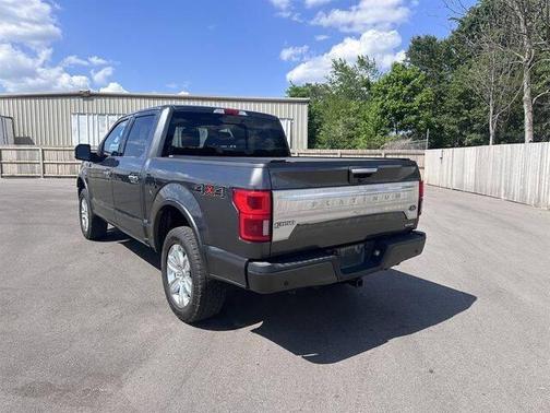Magnetic Metallic 2020 Ford F-150 Platinum