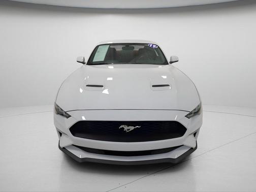 Oxford White 2019 Ford Mustang EcoBoost