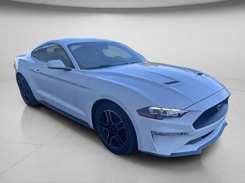 Oxford White 2019 Ford Mustang EcoBoost