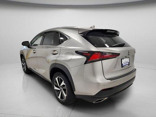 Nebula Gray Pearl 2019 Lexus NX 300 Base