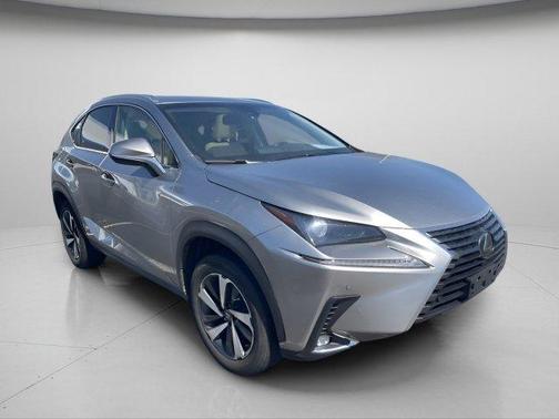 Nebula Gray Pearl 2019 Lexus NX 300 Base