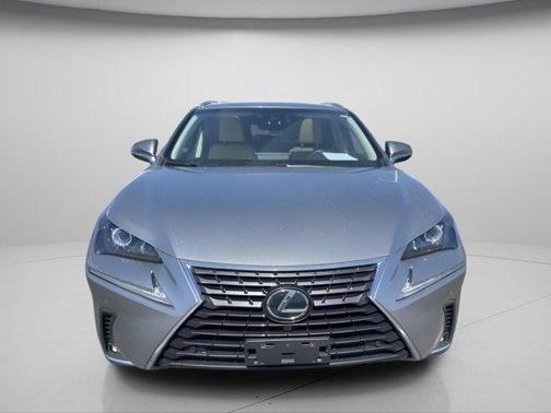 Nebula Gray Pearl 2019 Lexus NX 300 Base