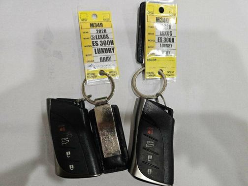 2020 Lexus ES 300h Luxury