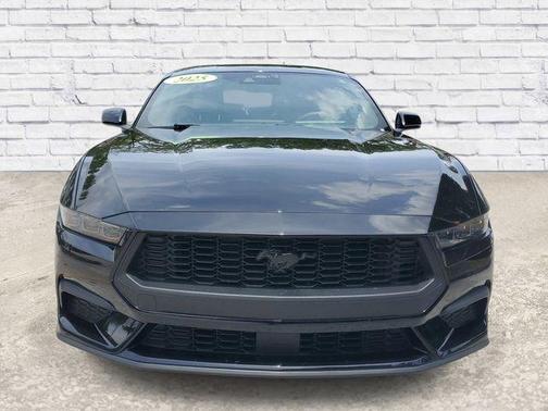 Shadow Black 2025 Ford Mustang EcoBoost