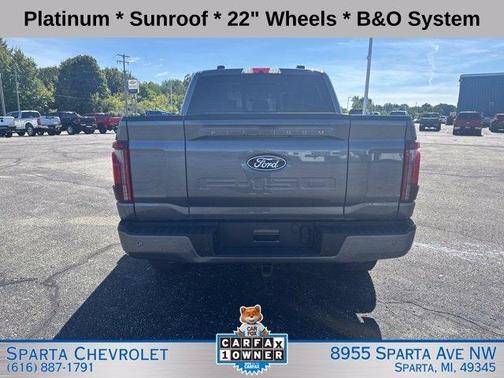 Gray Metallic 2025 Ford F-150 Platinum