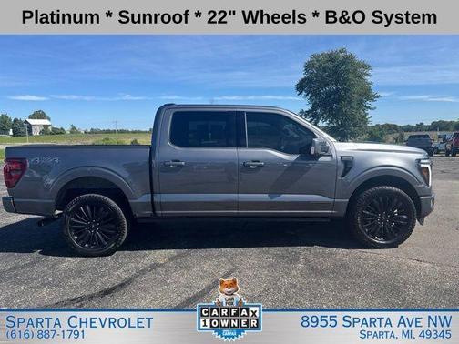 Gray Metallic 2025 Ford F-150 Platinum