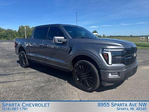 Gray Metallic 2025 Ford F-150 Platinum