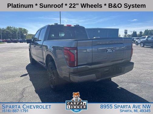 Gray Metallic 2025 Ford F-150 Platinum