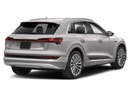 Florett Silver Metallic 2021 Audi e-tron Premium