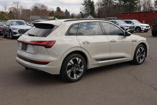 Siam Beige Metallic 2021 Audi e-tron Premium