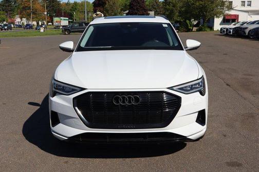 Glacier White Metallic 2021 Audi e-tron Premium