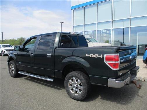 Green Gem Metallic 2014 Ford F-150 XLT