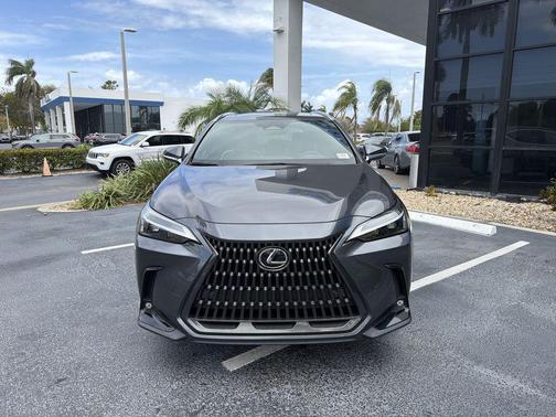 Cloudburst Gray 2023 Lexus NX 350h Premium